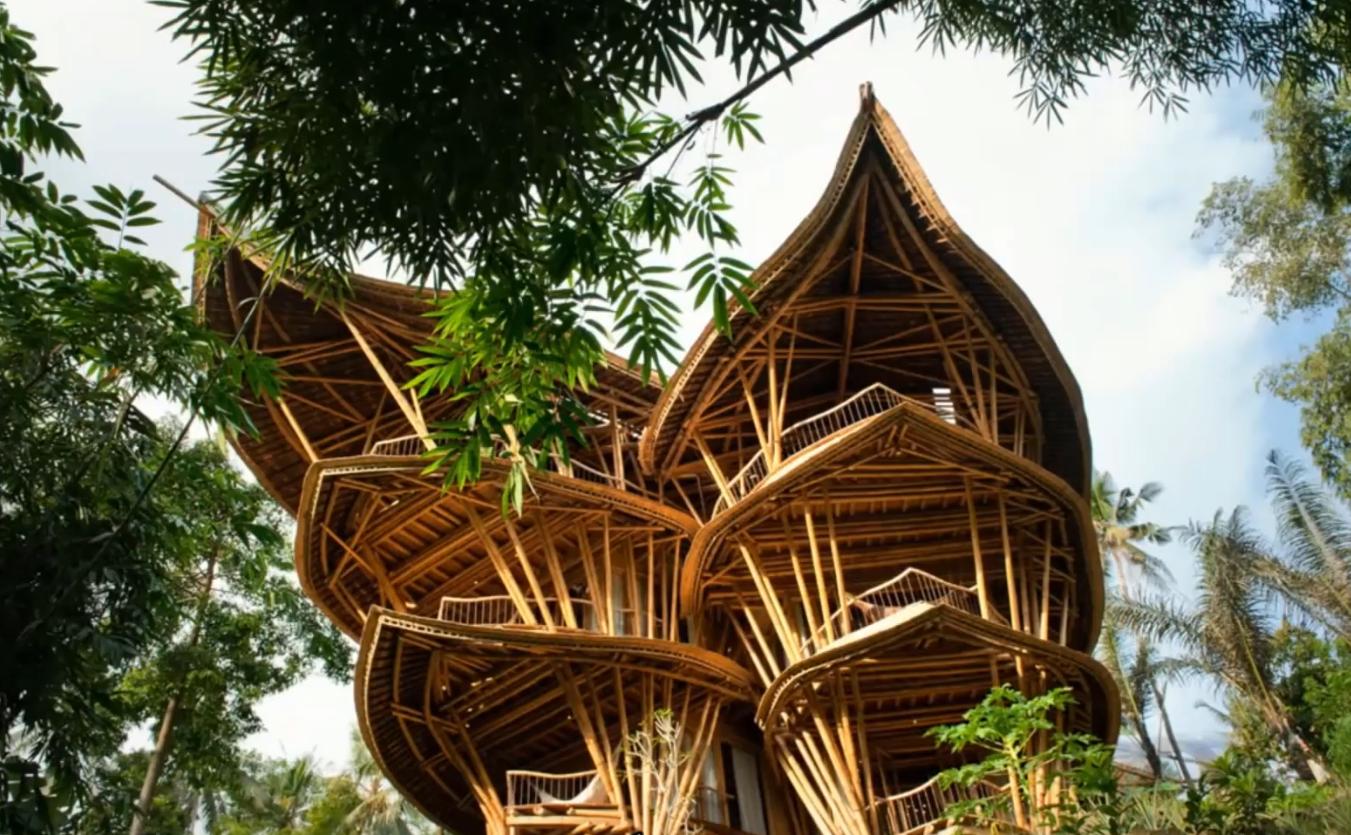 ساخت خانه ی شگفت انگیز با بامبو