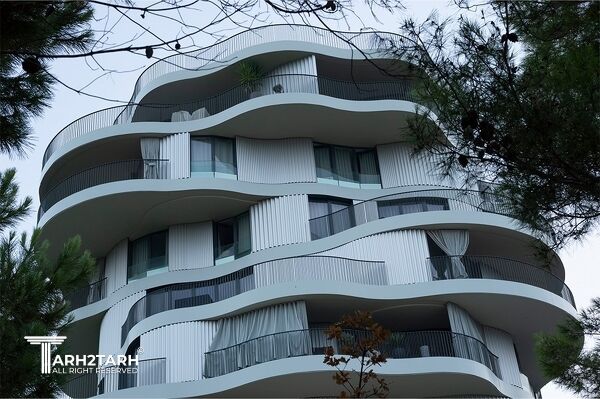 اثر فرشید موسوی در فرانسه