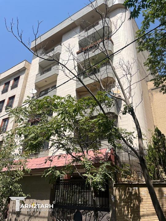 همسایه غربی از گذر جنوبی
