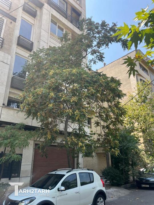 دید از گذر شمالی