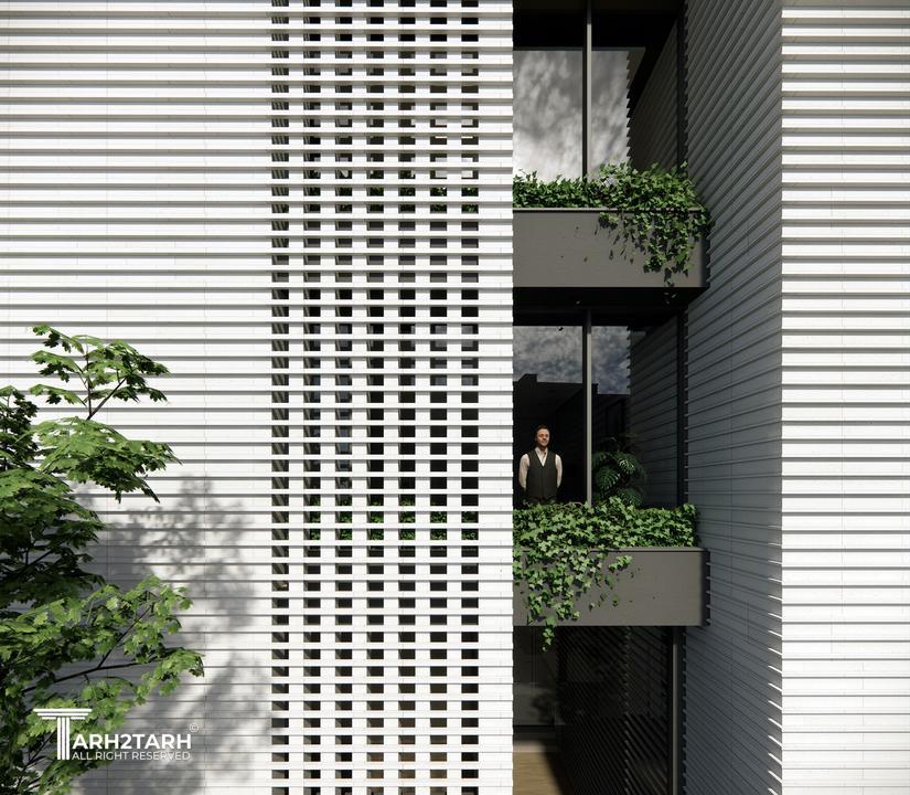 نما نزدیک روز