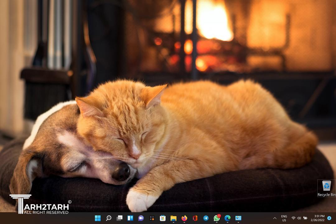 پیبنمترمیبرئ