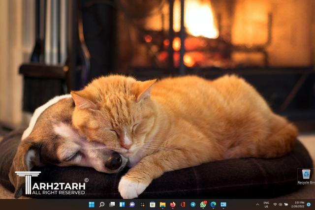 پیبنمترمیبرئ