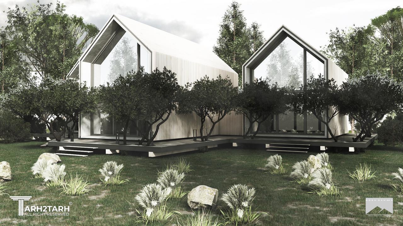 درختان زیتون