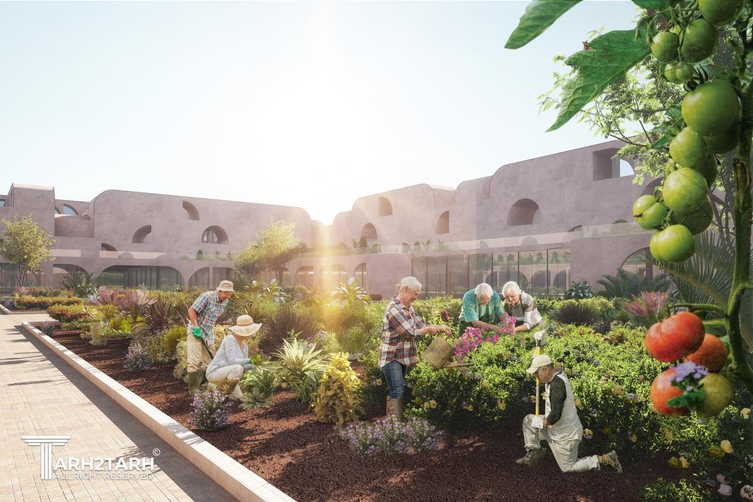 Co Living for Elderly