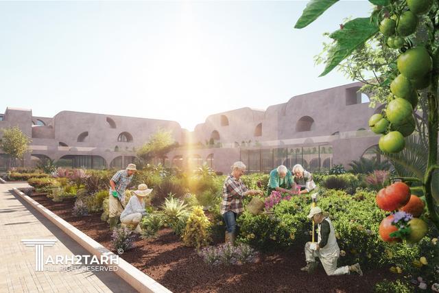 Co Living for Elderly