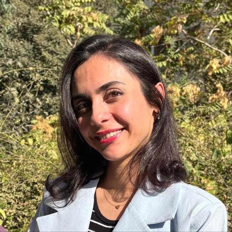  نگین توفیقی