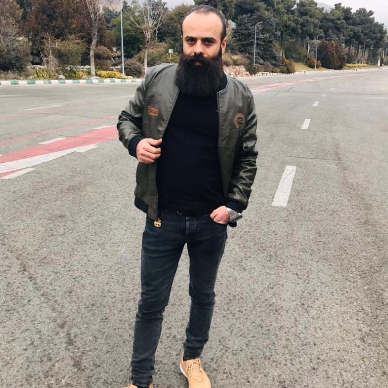 Hamed Hajigholami