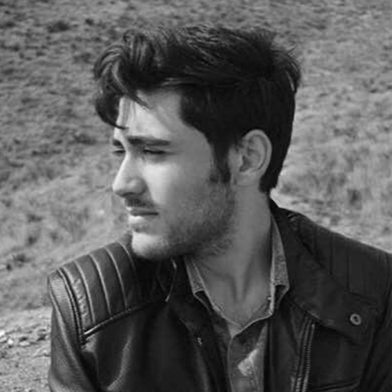  حسین میرزابیگی