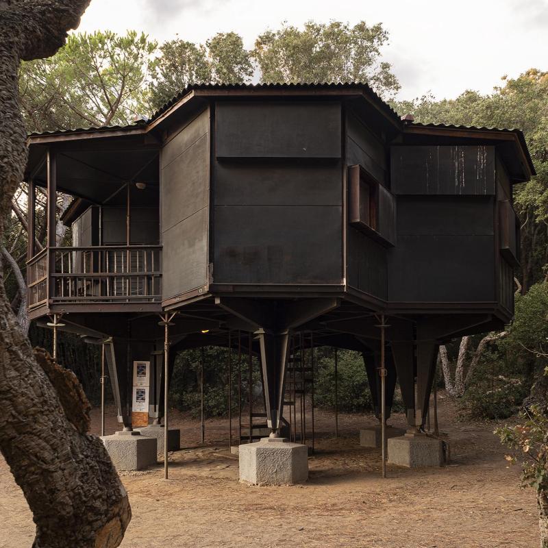 کامران محمدپور