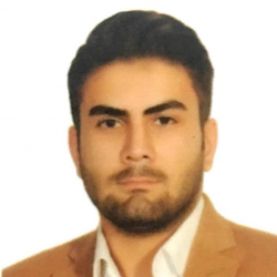 امیرحسین فرزانه