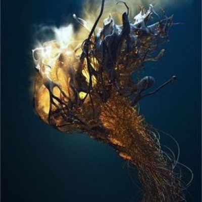 Morteza parwizie almani