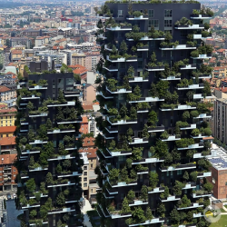 گروه ساختمانی  ایده آوگون