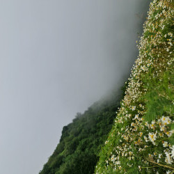 آرزو سرای