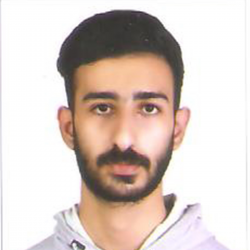 امیرحسین صمدی