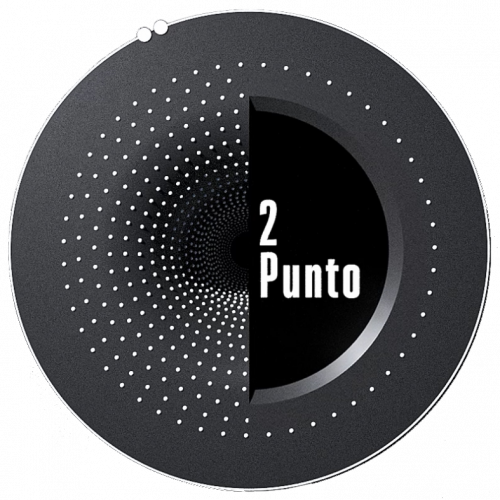 2punto