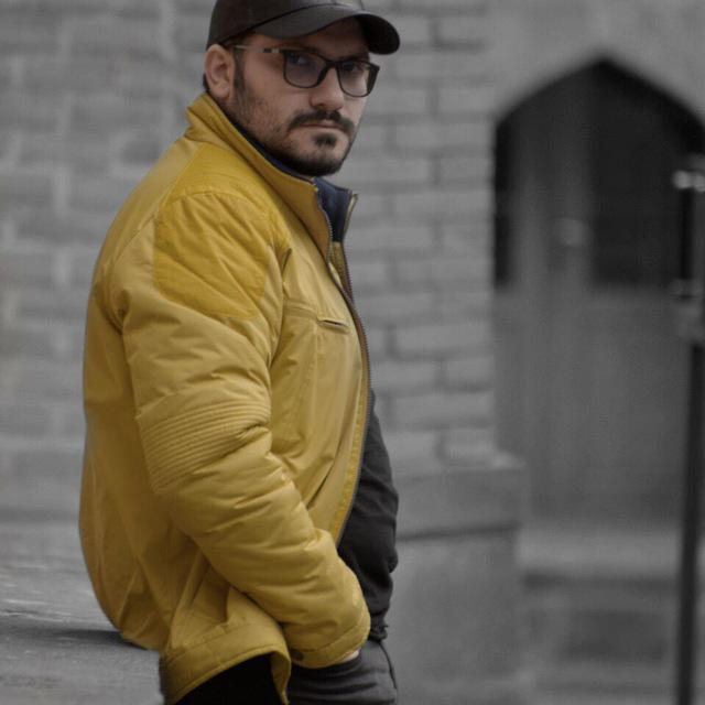 حامد محمدپور