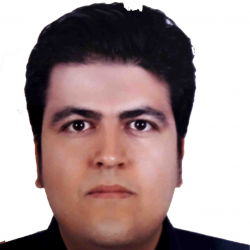 سید مهدی  صفوی