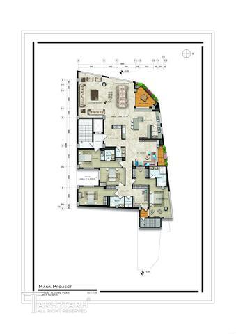 طراحی پلان پروژه مانا